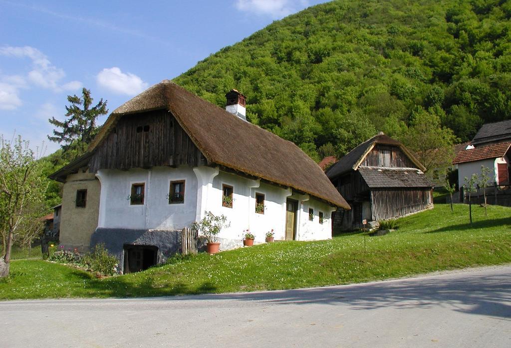 Farm Stay Kramer Bistrica ob Sotli Екстер'єр фото